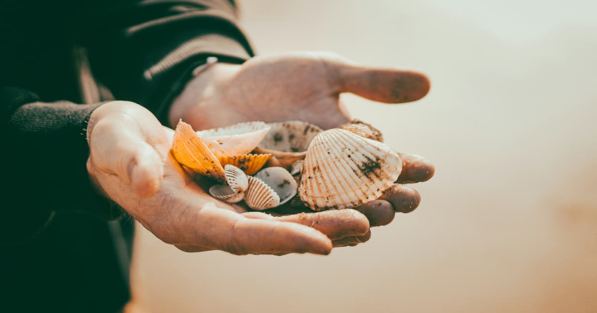 Hospice Care Underutilized Despite Proven Benefits, VNANNJ Advocates for Increased Awareness